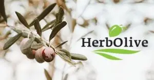 Mehr über den Artikel erfahren Herbolive-Shop
